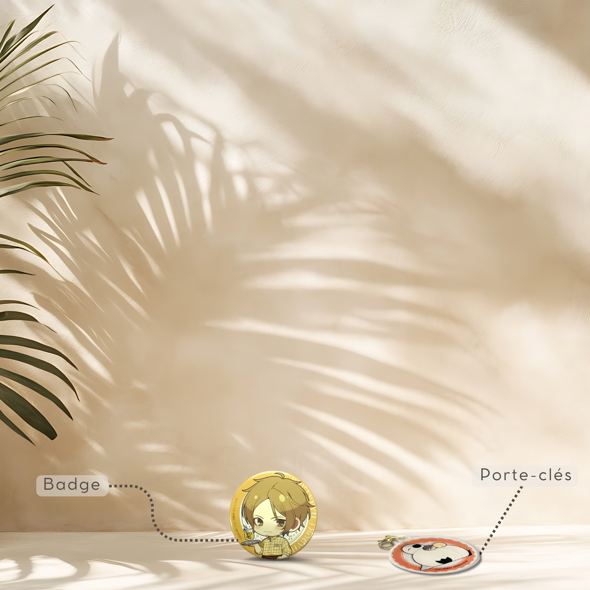 DECOUVERTE_BOX_BADGES